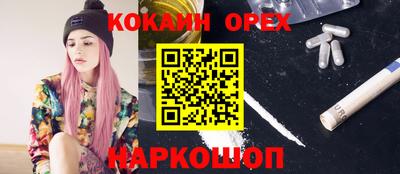кокс Гатчина