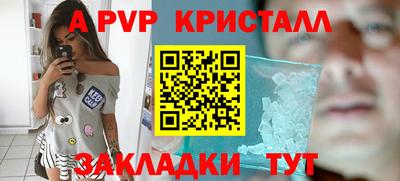 кокс Гатчина