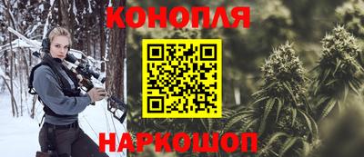 кокс Гатчина