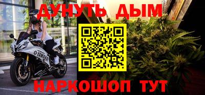 кокс Гатчина