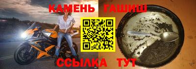 кокс Гатчина