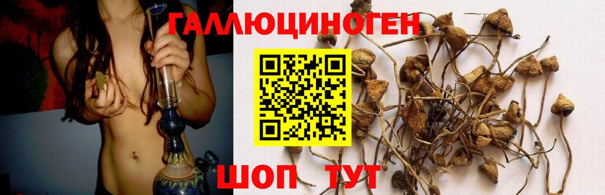 Галлюциногенные грибы прущие грибы Междуреченск
