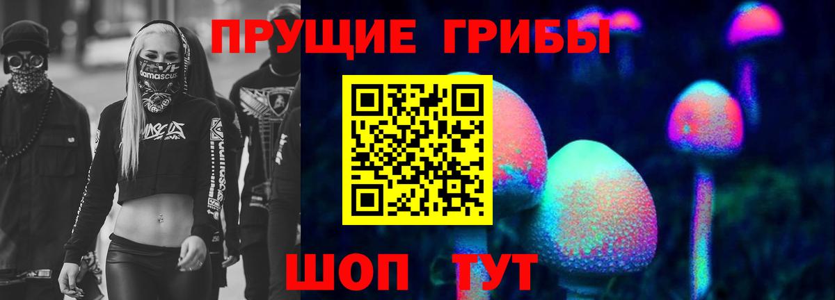 Междуреченск  Псилоцибиновые грибы Magic Shrooms  Вход с VPN 